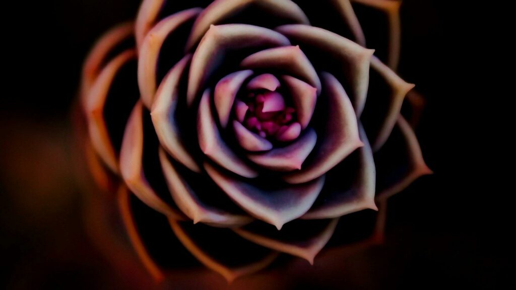 Karma no Dia a Dia: Como Pequenas Ações Podem Gerar Grandes Mudanças Kármicas